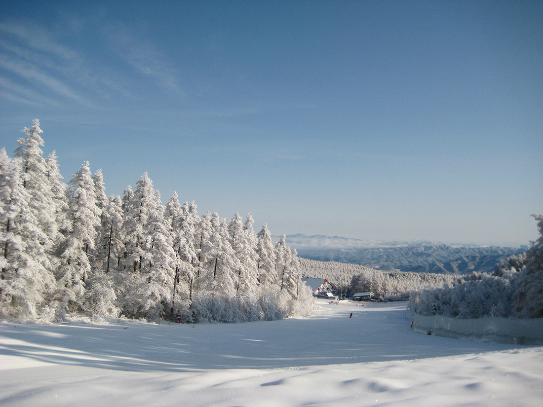全長2.5kmのロングコースが楽しめる八ヶ岳エリア最大級のスキー場