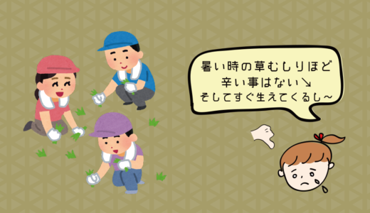 24　雑草処理、良い方法があったら教えて下さい。(しろ吉)